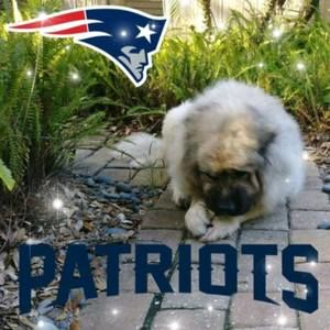 Meet your Posher, Wendi